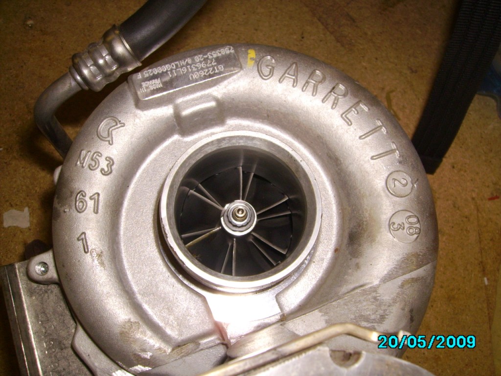 PICT0194.JPG